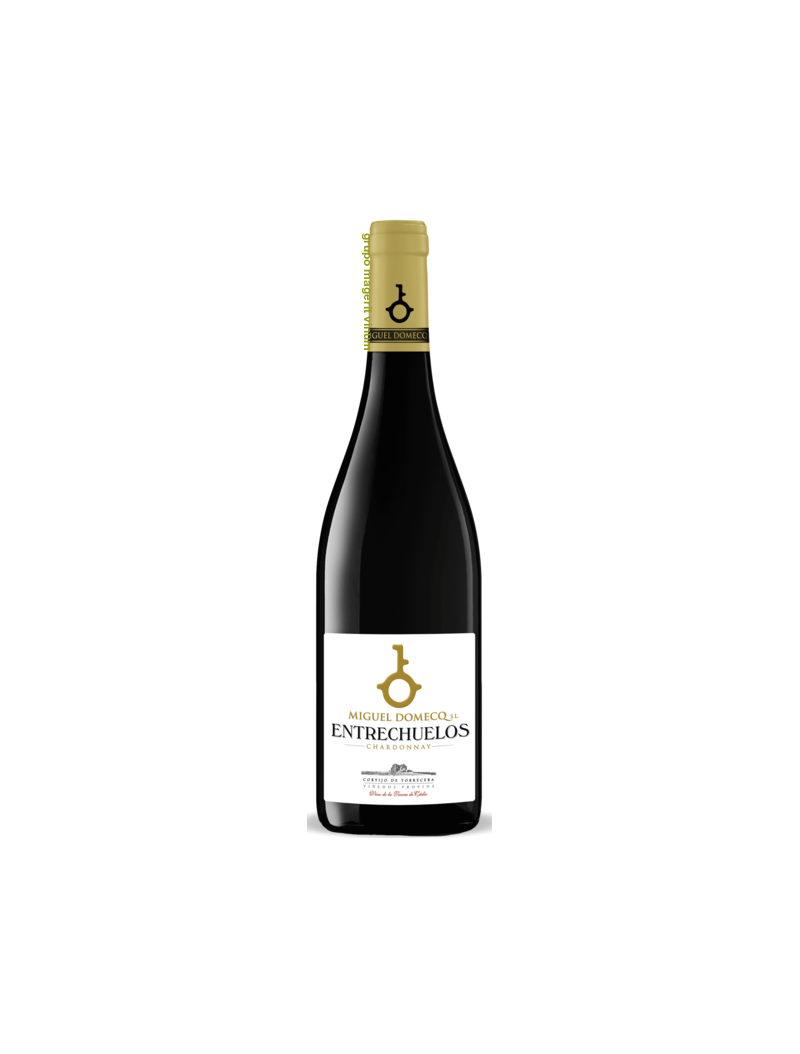 Entrechuelos Chardonnay 2024