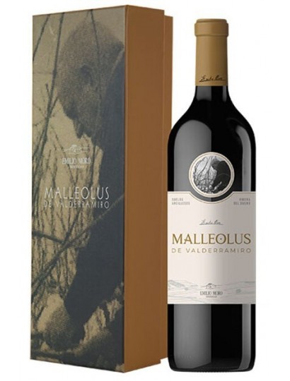 Malleolus de Valderramiro 2020
