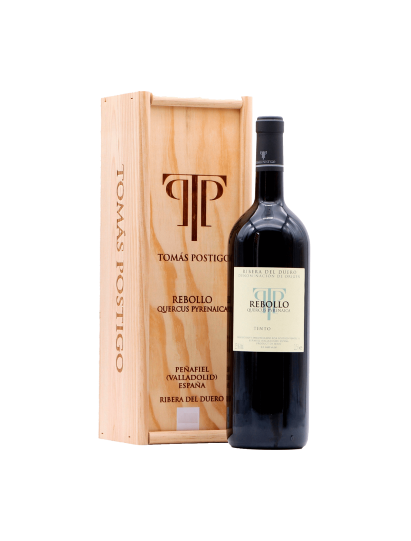 Tomás Postigo Rebollo 2019 Quercus Pyrenaica