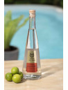 Pisco Viñas de Oro Quebranta
