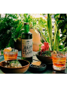 licor ancho reyes verde