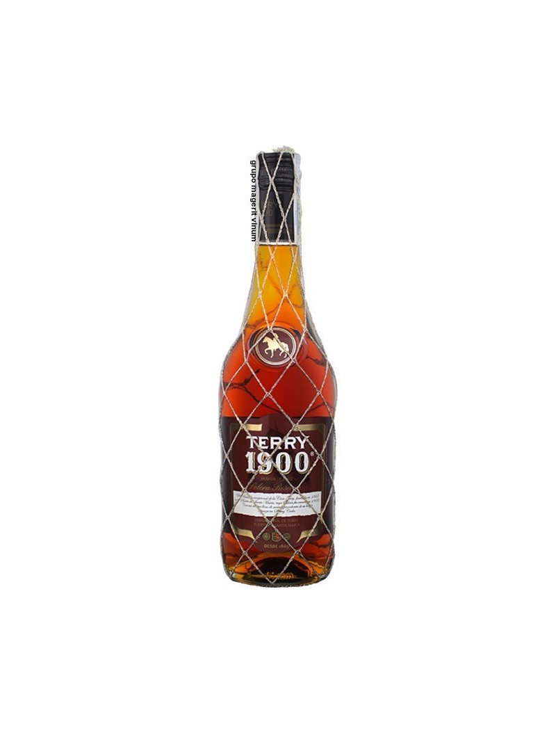 Brandy Terry 1900 Solera  Reserva